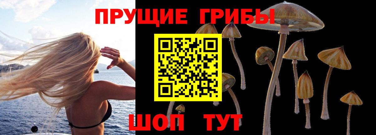 Псилоцибиновые грибы Psilocybe Златоуст